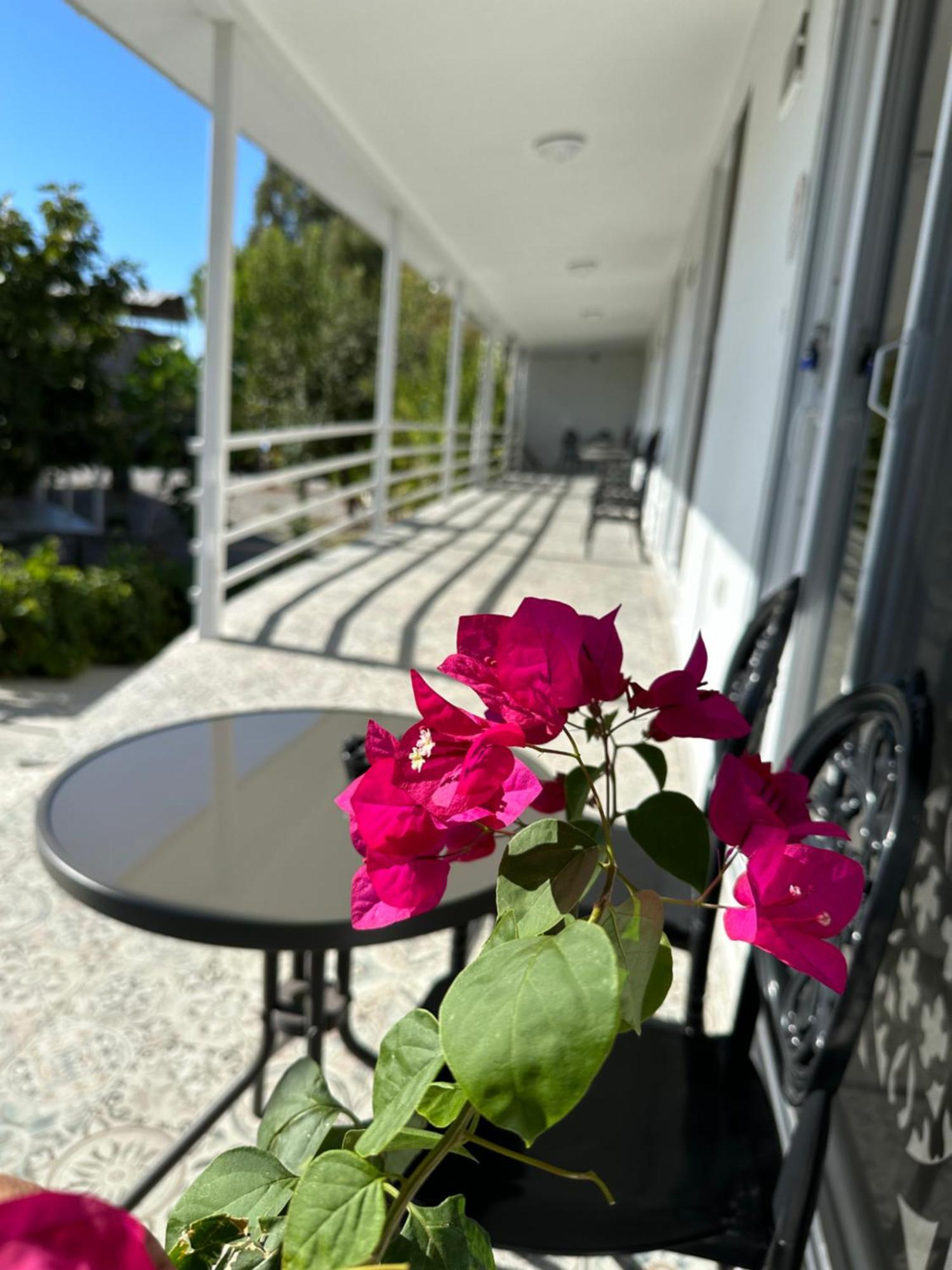 Airport Blue Eye House Ideal For Air Travellers 5 Km From Airport ดาลามาน ภายนอก รูปภาพ