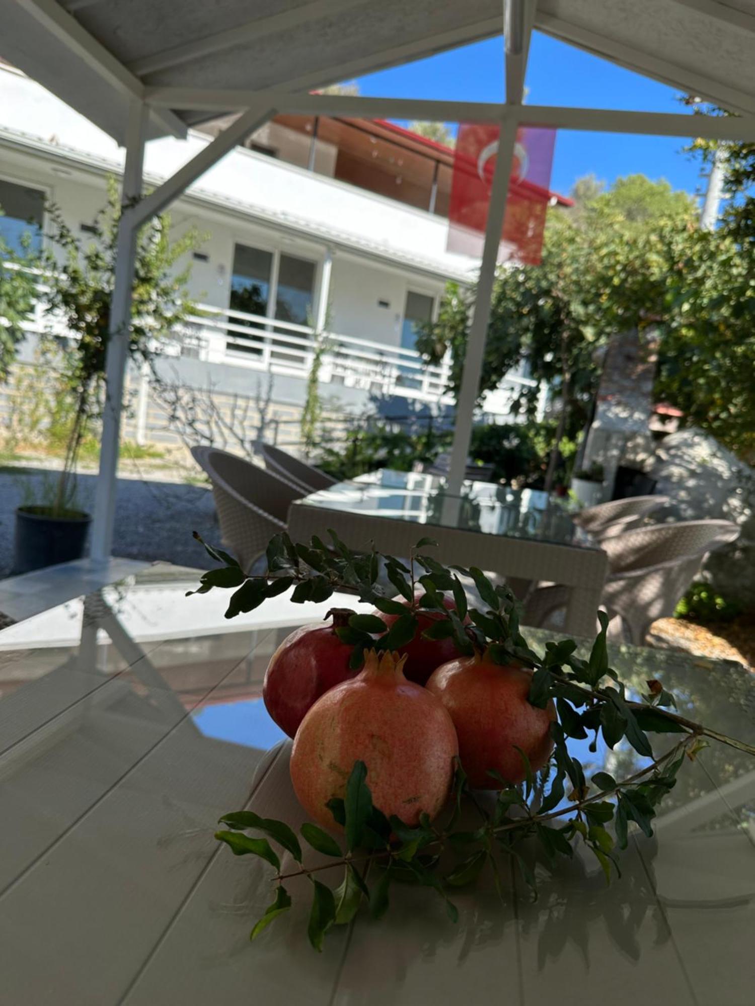 Airport Blue Eye House Ideal For Air Travellers 5 Km From Airport ดาลามาน ภายนอก รูปภาพ