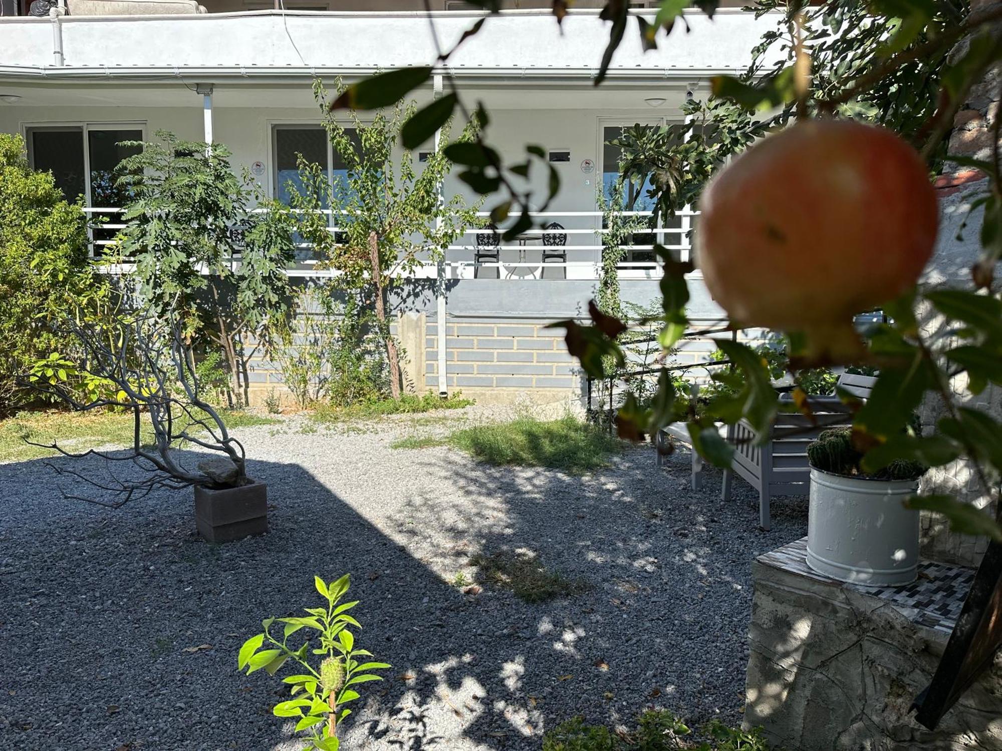 Airport Blue Eye House Ideal For Air Travellers 5 Km From Airport ดาลามาน ภายนอก รูปภาพ